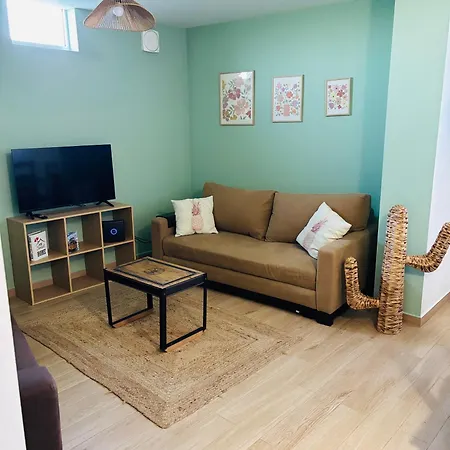 Casa Do Rendo Avec Terrasse Proche Aveiro Tatil Evi