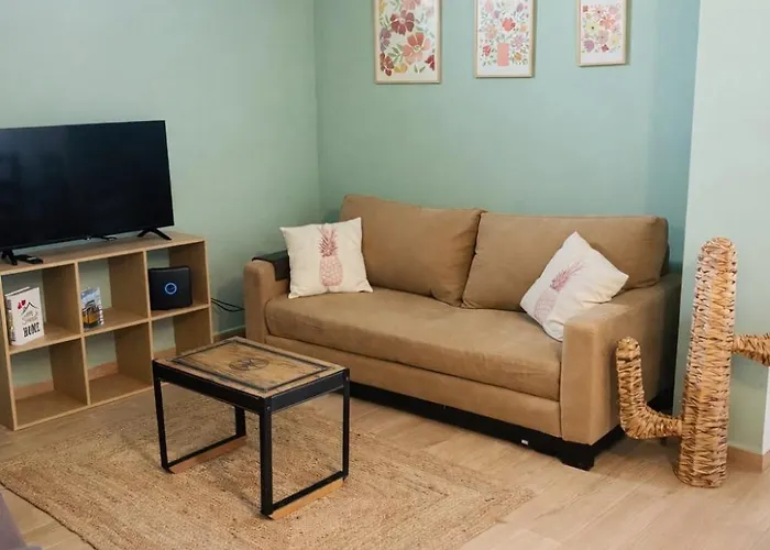 Casa Do Rendo Avec Terrasse Proche Aveiro *